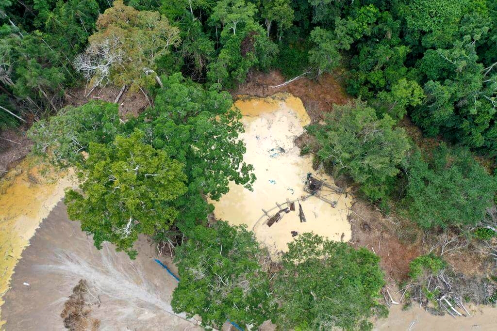Goldrausch in Amazonien: Vom Regenwald zu unseren Banken, Schmuck und Handys